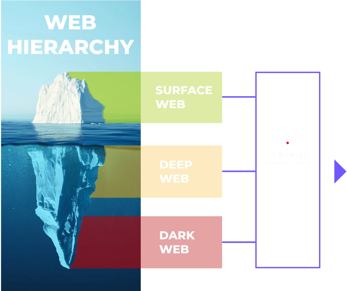 Web Hierarchy Cyfirma