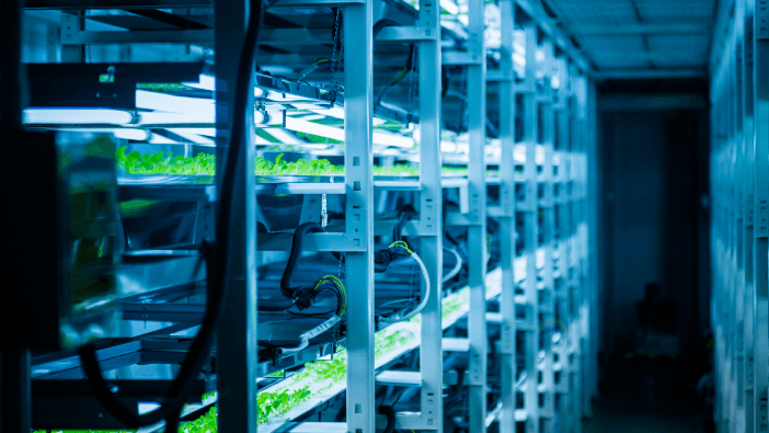 Hyperconverged & Hypervisor